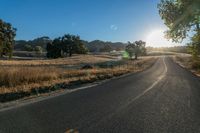 the sun shines over a country road in the countryside near tall grass and trees