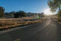 the sun shines over a country road in the countryside near tall grass and trees