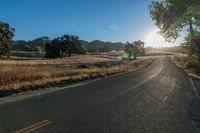 the sun shines over a country road in the countryside near tall grass and trees