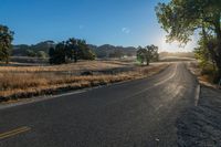 the sun shines over a country road in the countryside near tall grass and trees