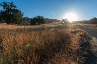 a country road on a sunny day with sun setting in the distance and some trees and grass