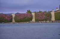 this is an image of a road in the country side with flowers and a building