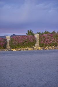 this is an image of a road in the country side with flowers and a building