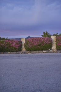 this is an image of a road in the country side with flowers and a building