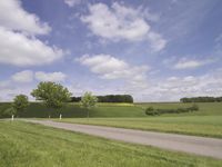 a country road on the side of a grassy hillside with two trees and fence, surrounded by tall, green grass