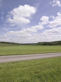 a country road on the side of a grassy hillside with two trees and fence, surrounded by tall, green grass