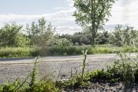 man in a helmet riding on a motorcycle down a country road in the sun, with green grass on either side of the road