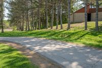 a country road with trees on either side and a grassy hill behind it at the side