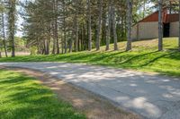 a country road with trees on either side and a grassy hill behind it at the side