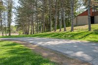 a country road with trees on either side and a grassy hill behind it at the side