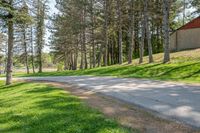 a country road with trees on either side and a grassy hill behind it at the side