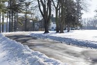 Country Road with Snow-Covered Trees