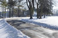 Country Road with Snow-Covered Trees