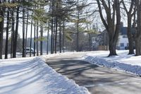 Country Road with Snow-Covered Trees