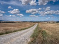 a country road leads into the distance between fields of crops and a dirt field with clouds in the blue sky