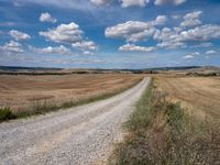 a country road leads into the distance between fields of crops and a dirt field with clouds in the blue sky