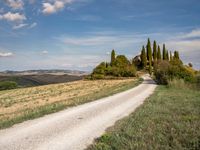 a country road winding through the countryside of valigna, italy with cypress trees and rolling hills in the background