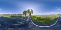 two lanes of a street in the countryside, two trees and a clear sky, as seen from a fisheye lens