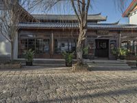 there is a courtyard in china outside an older building and a tree in front of it