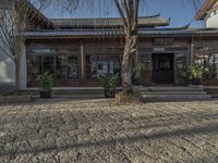 there is a courtyard in china outside an older building and a tree in front of it