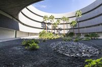 a courtyard of rocks and gravel next to palm trees and plants on the ground in front of a building