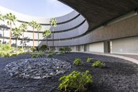 a courtyard of rocks and gravel next to palm trees and plants on the ground in front of a building