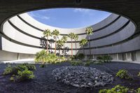 a courtyard of rocks and gravel next to palm trees and plants on the ground in front of a building