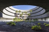 a courtyard of rocks and gravel next to palm trees and plants on the ground in front of a building