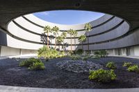 a courtyard of rocks and gravel next to palm trees and plants on the ground in front of a building