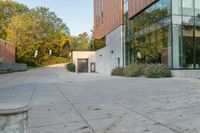 the courtyard features concrete, plants and a fire hydrant surrounded by trees and glass windows