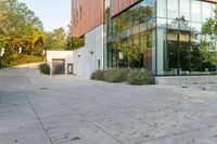 the courtyard features concrete, plants and a fire hydrant surrounded by trees and glass windows