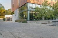the courtyard features concrete, plants and a fire hydrant surrounded by trees and glass windows
