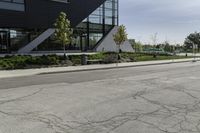 the asphalt is cracked and in between a building and trees on either side of the building