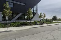 the asphalt is cracked and in between a building and trees on either side of the building