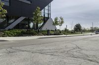 the asphalt is cracked and in between a building and trees on either side of the building