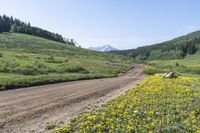 Crested Butte, Colorado: Nature and Vegetation