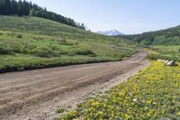 Crested Butte, Colorado: Nature and Vegetation