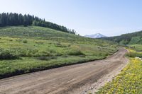 Crested Butte, Colorado: Nature and Vegetation