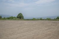 an empty area with some trees in the distance and mountains in the distance through it