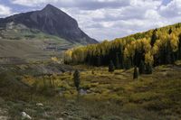 a scenic photo of the high country near a valley with trees in the background and a large mountain