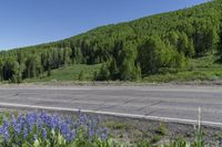 motorcycle rider on roadway overlooking green hills with trees in background and clear blue sky above