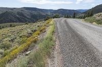 a gravel road winding through a valley with trees on both sides and mountains in the distance