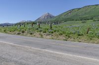 a stop sign on the side of a road beside a field and a mountain in the background