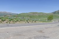 a stop sign on a road in front of the mountains and wildflowers in the desert