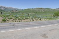 a stop sign on a road in front of the mountains and wildflowers in the desert