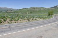 a stop sign on a road in front of the mountains and wildflowers in the desert