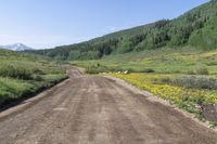 Crested Butte Forest: Off-Road Destination