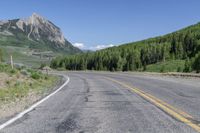 Crested Butte: A Forest Road in Nature's Paradise