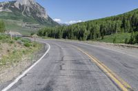 Crested Butte: A Forest Road in Nature's Paradise