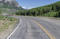 Crested Butte: A Forest Road in Nature's Paradise